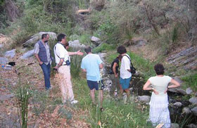 Image Image